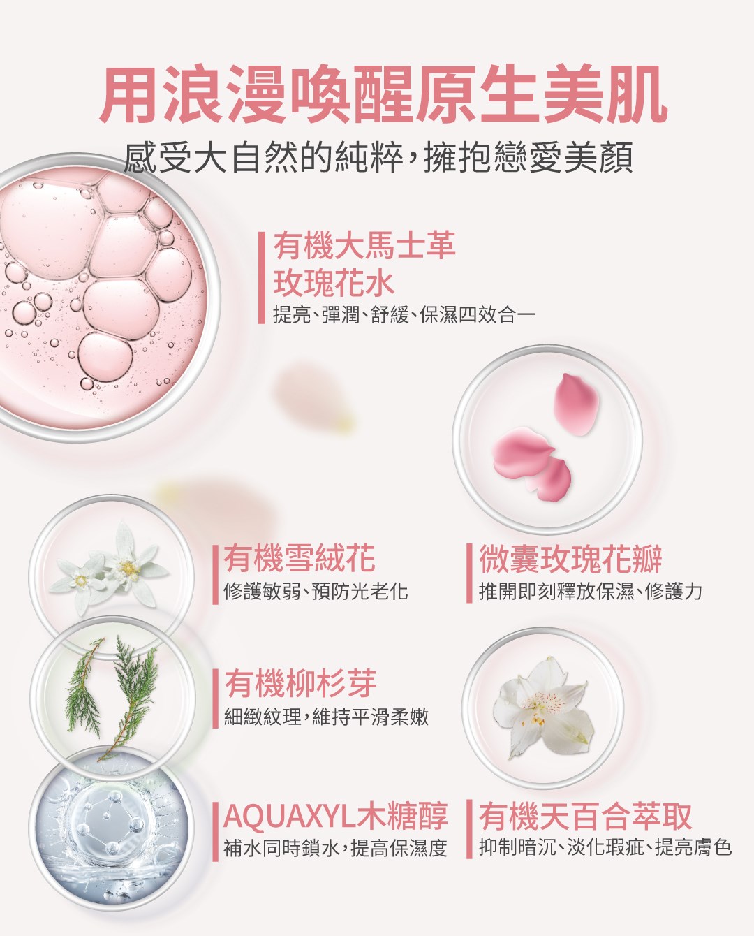 玫瑰花瓣青春凝露